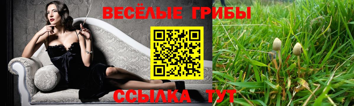 Новороссийск  Галлюциногенные грибы Psilocybine cubensis  закладки  Вход с VPN 