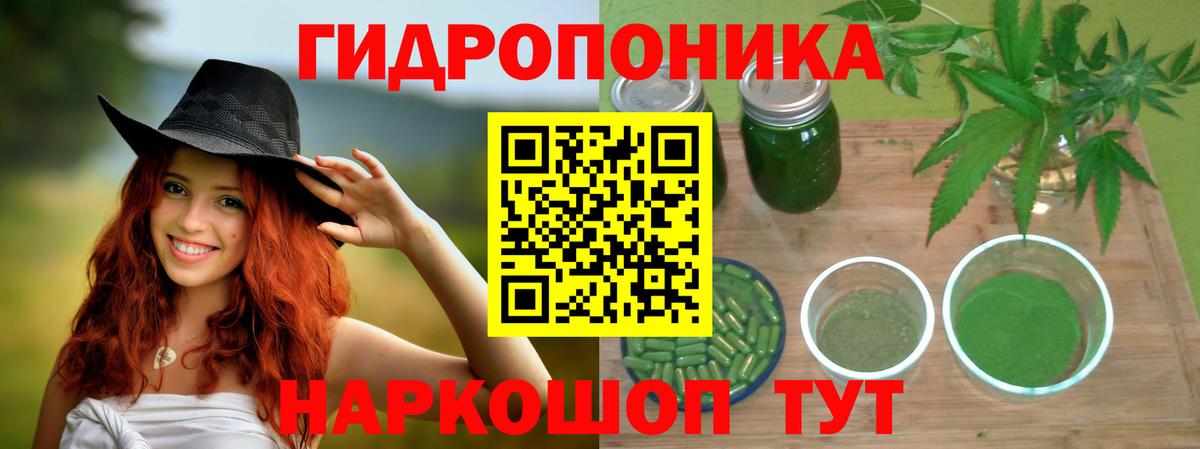 Марихуана конопля  МАРИХУАНА SATIVA & INDICA  Шишки марихуана Bruce Banner  Шишки марихуана ГИДРОПОН  Новороссийск  Вход с VPN 